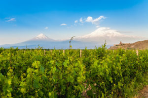 Winiarnia-Armenia-Wine